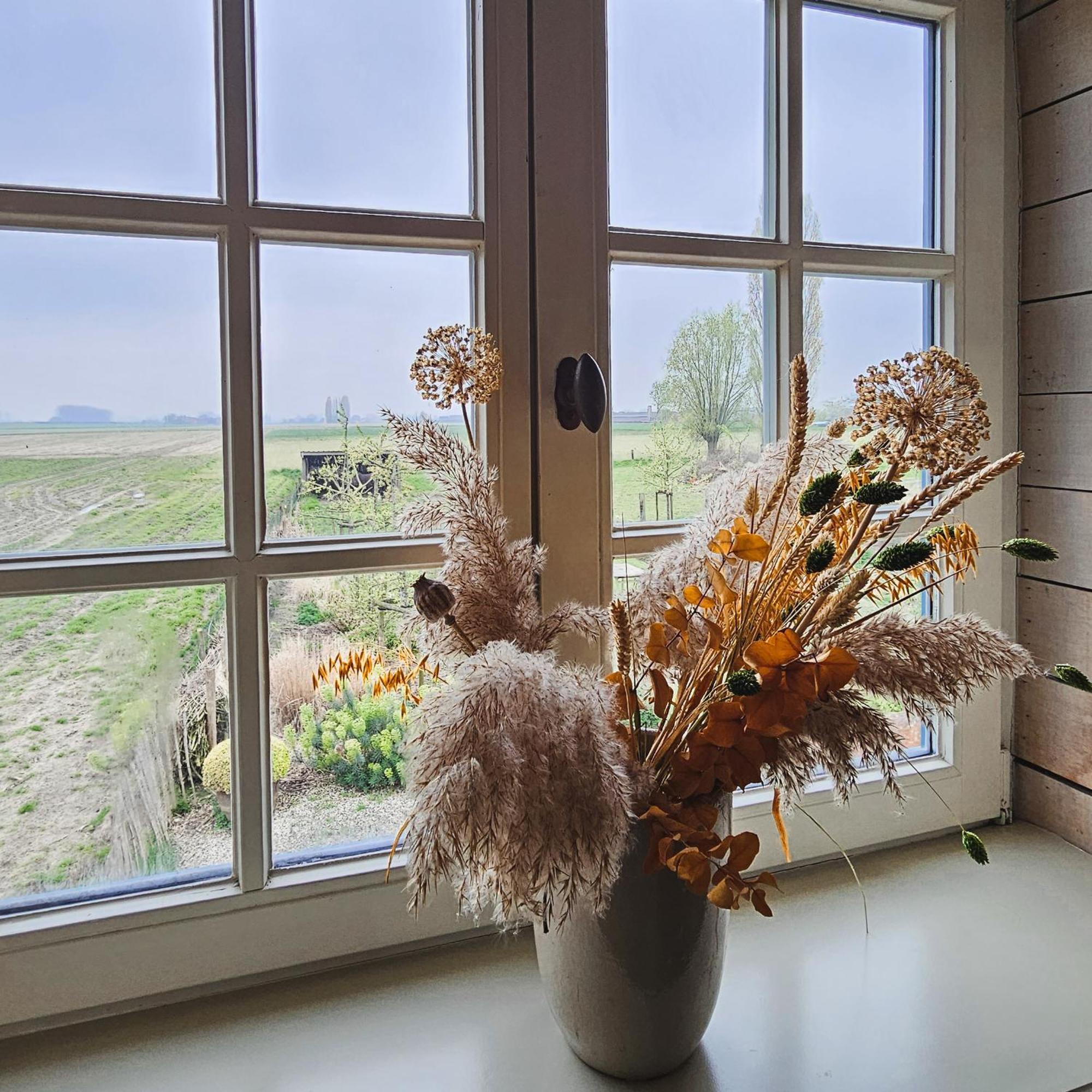 Boutique B&B Droomkerke Ruiselede Екстер'єр фото