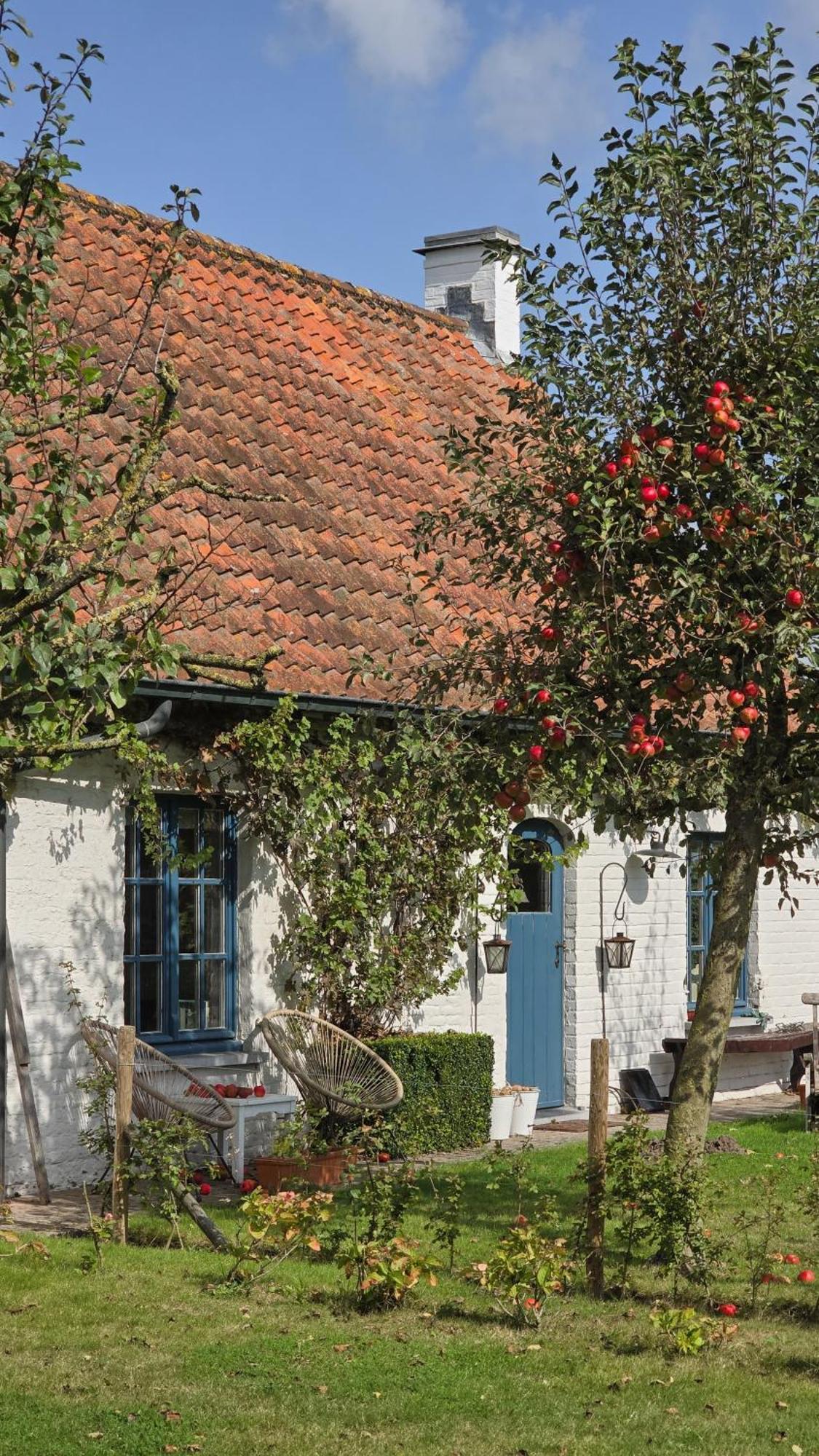 Boutique B&B Droomkerke Ruiselede Екстер'єр фото